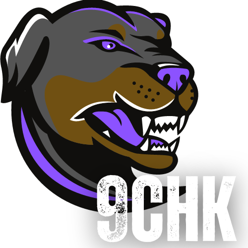 9chk Logo nobg